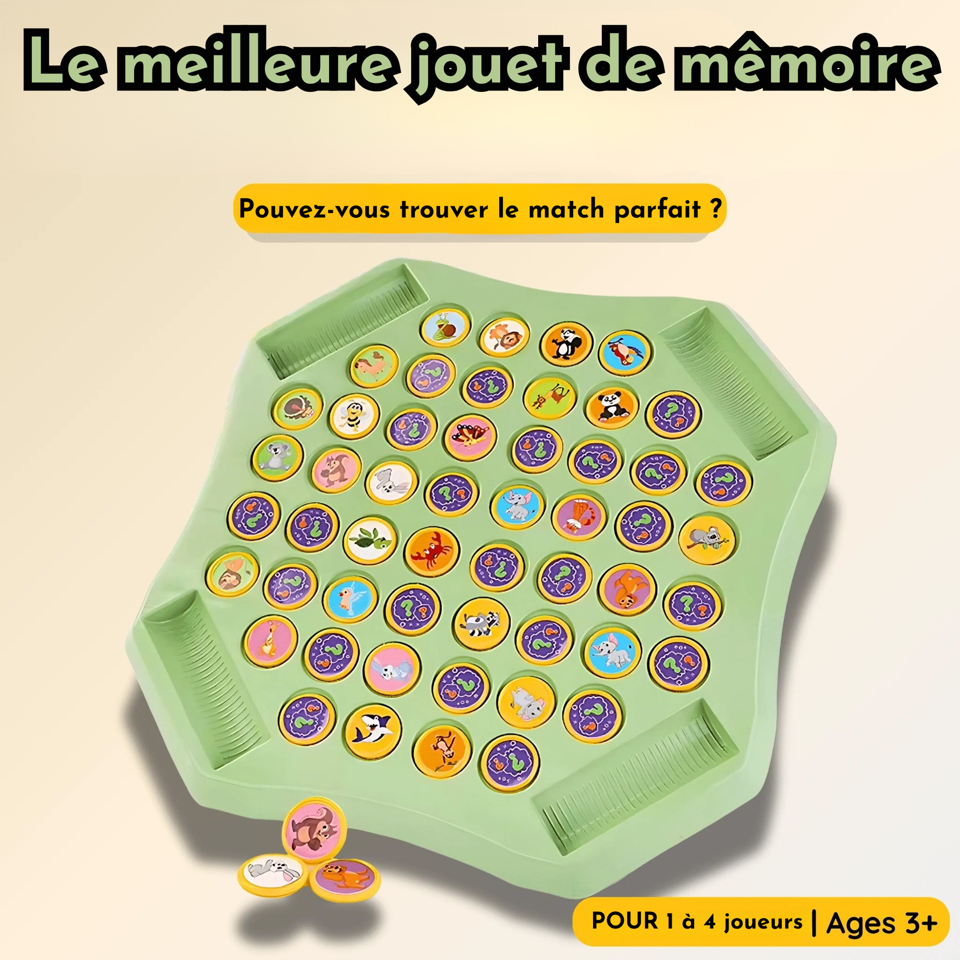 Jeu d’association memory flip Jeux Montessori
