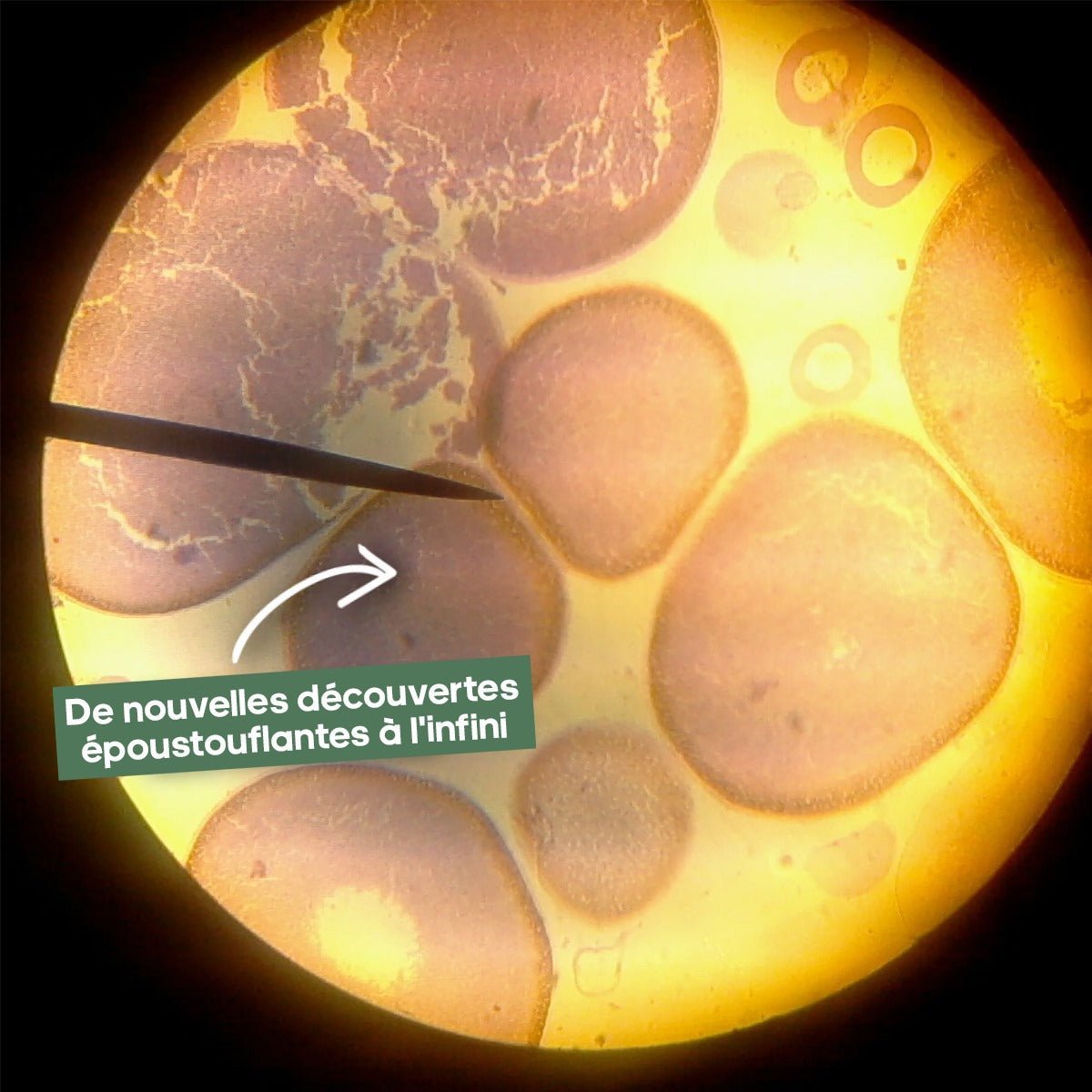 Microscope Digital Enfant L'original 💯 - Jeux Montessori