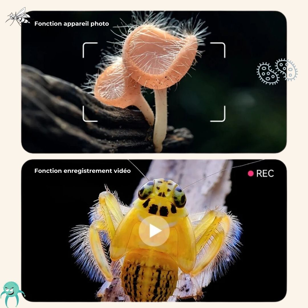 Microscope enfant - LoupiFun™ - Jeux Montessori