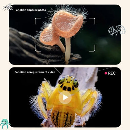 Microscope enfant - LoupiFun™ - Jeux Montessori